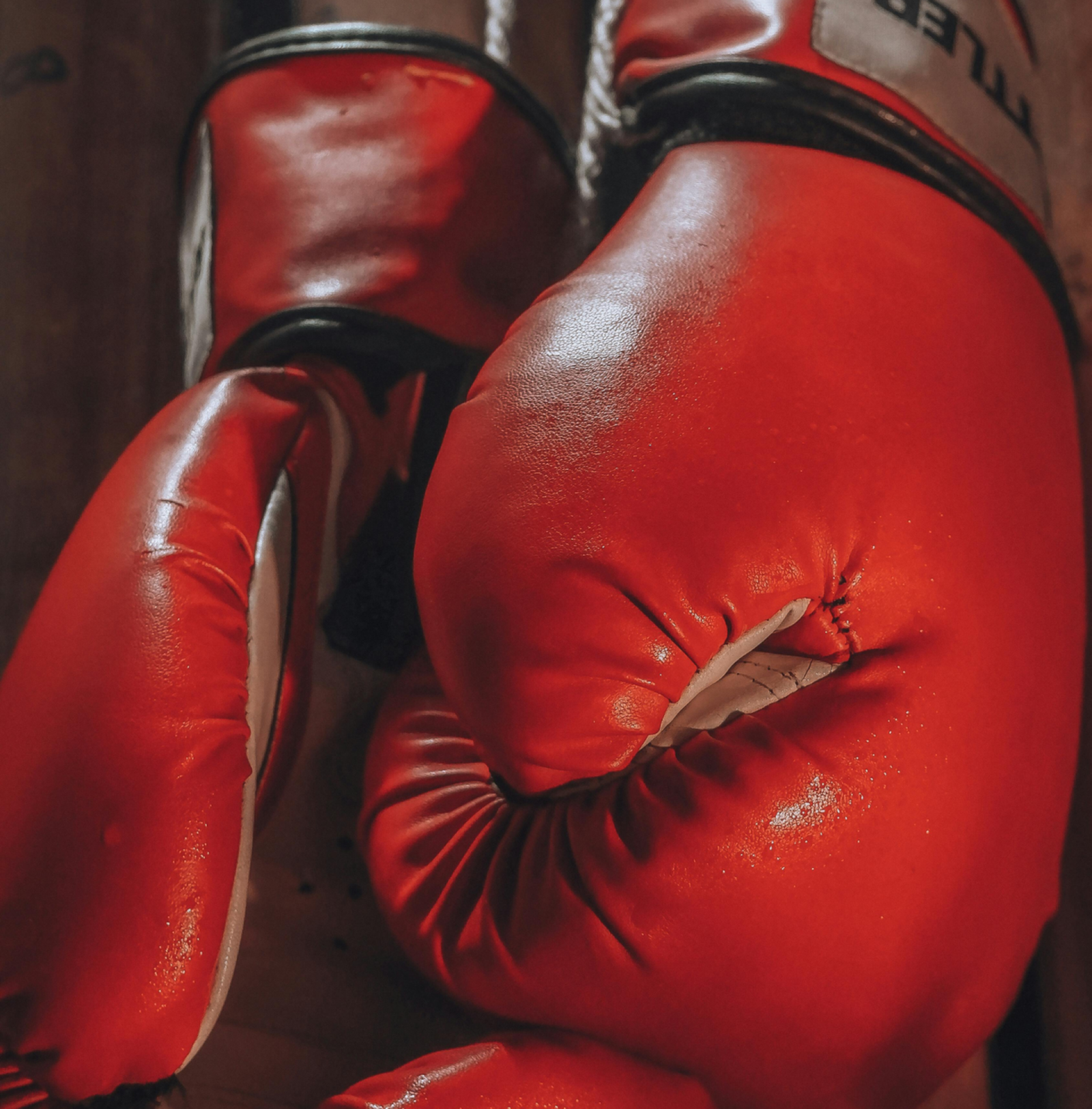 Untitled design (53) Untitled design (53)